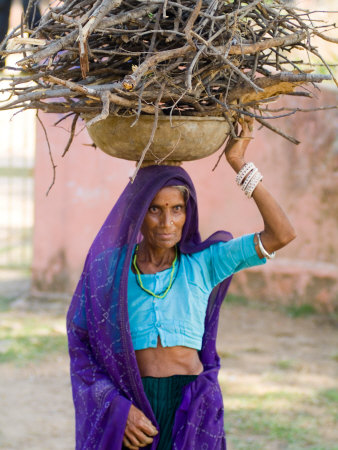 Woman Carrying Firewood on Head in Jungle of Ranthambore National Park, Rajasthan, India