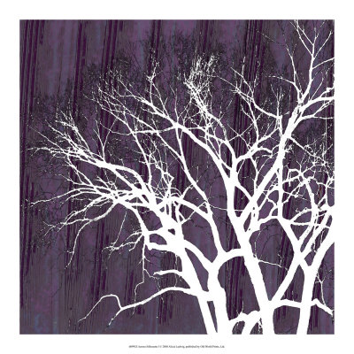 Aurora Silhouette I