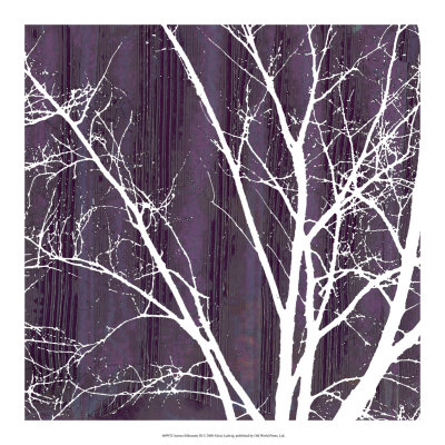 Aurora Silhouette III