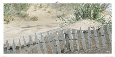 Couleur Sable