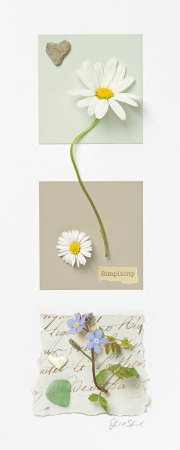 Buy Simplicity at AllPosters.com