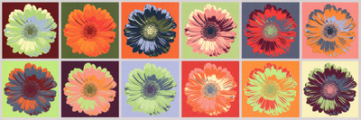 Buy Gerbera Spectrum at AllPosters.com