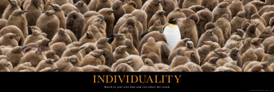 Individuality: Penguin