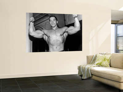 Arnold Schwarzenegger