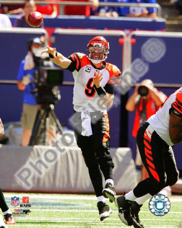 Carson Palmer