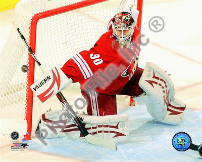 Buy Ilya Bryzgalov at AllPosters.com