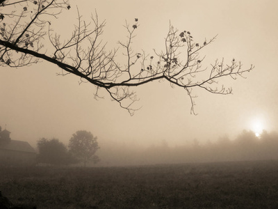 Buy Parish Hill Sunrise at AllPosters.com