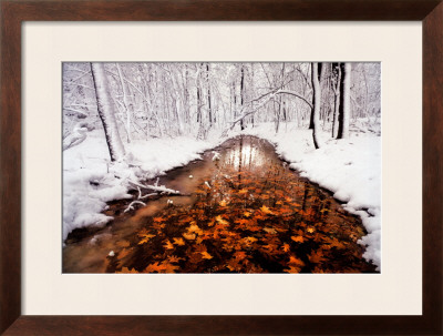 Buy Autumn Passage at AllPosters.com