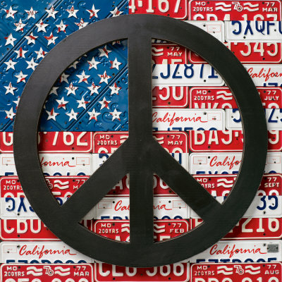 Funny Sign Amerca on American Flag Peace Sign  Band T Shirts  Funny Tees   Posters