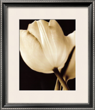 Radiance I