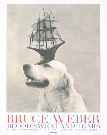 Dog with Ship