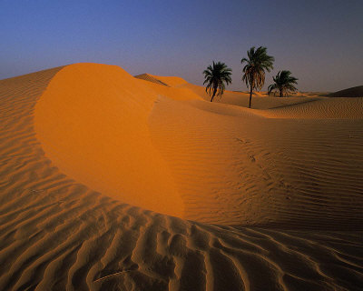 Buy Algerie at AllPosters.com