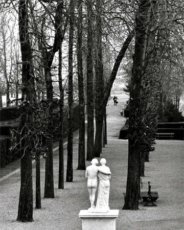 Buy Parc de Saint-Cloud, c.1981 at AllPosters.com