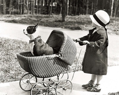 Walking the Dog