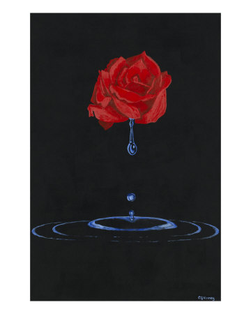 Weeping Rose