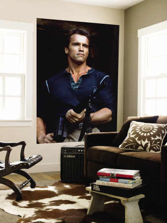 Arnold Schwarzenegger