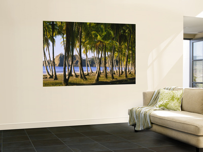 Buy Palm Trees on the Beach, Carrillo Beach, Nicoya Peninsula, Guanacaste Province, Costa Rica at AllPosters.com