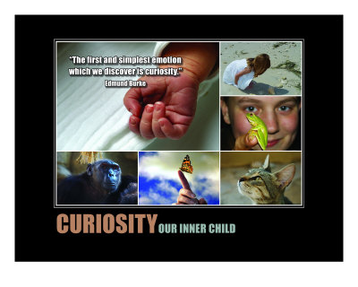 Inspirational-Motivational: Curiosity Collage