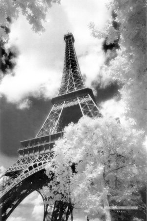 Buy Parc du Champ de Mars, Paris at AllPosters.com