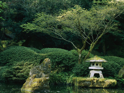 Japanese Garden with Japanese Maple Trees, Portland, Oregon