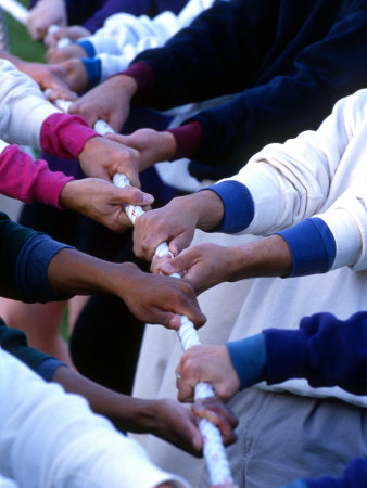 Buy Multiracial Team Playing Tug of War, Portland, Oregon at AllPosters.com