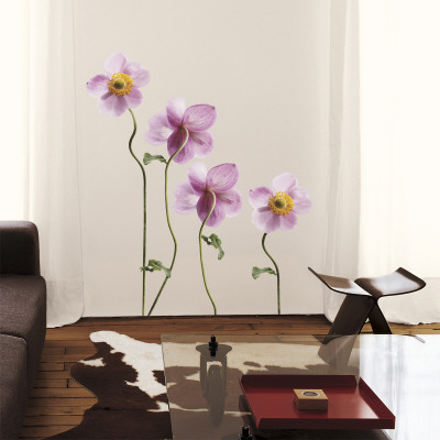 Japanese Anemones