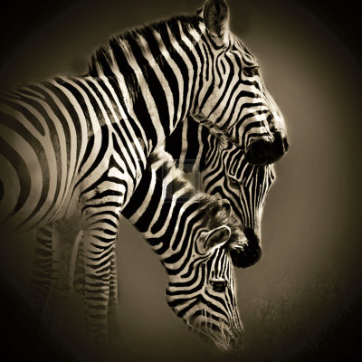 Mirage