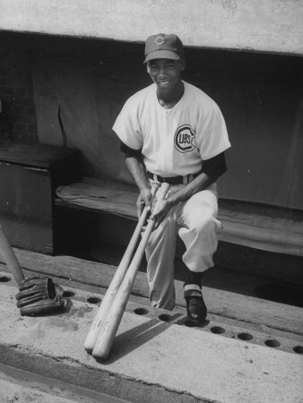 Chicago Cub