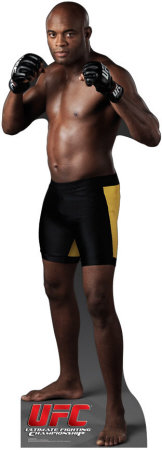 UFC - Anderson Silva