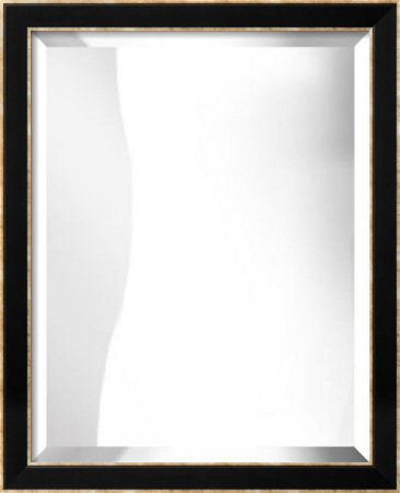 22x28 Bevel Mirror Posters