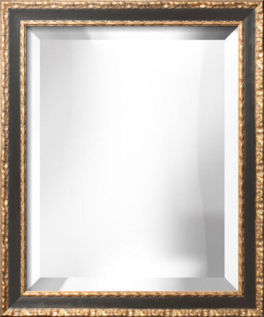 Alexandra Wide Mirror Decorative Mirror