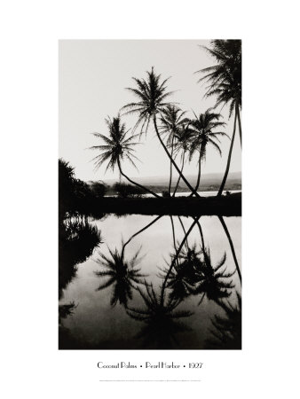 Coconut Palms, Pearl Harbor, Hawaii, 1927
