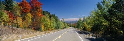 Trees Along a Road, Boreas Road, Adirondack Mountains, Hudson, New York State, USA