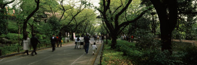 People Walking in a Park, Ueno Park, Taito, Tokyo Prefecture, Kanto Region, Japan