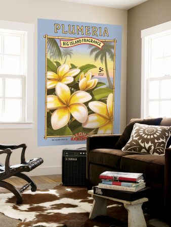 Plumeria
