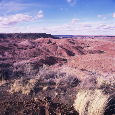 Painted Desert, North Arizona, United States of America, North America