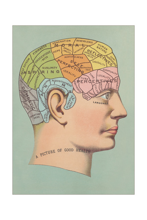 Phrenology Chart of Head