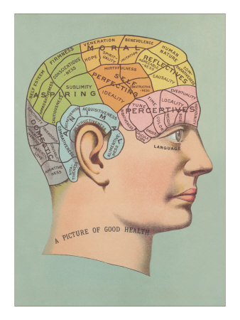 drawing of person's head showing the various areas of the skull associated with their phrenological characteristics