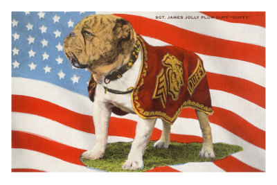 Marine Corp Boxer Dog with Flag