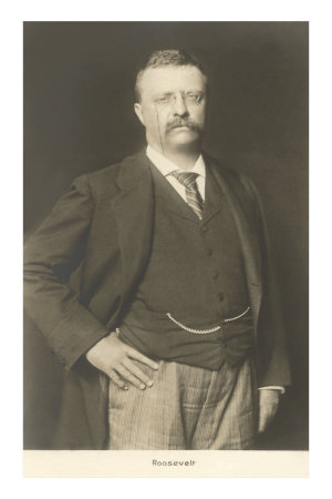 Theodore Roosevelt