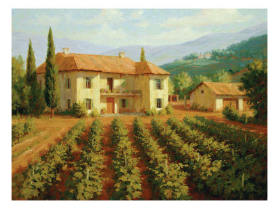 Tuscan Vineyard