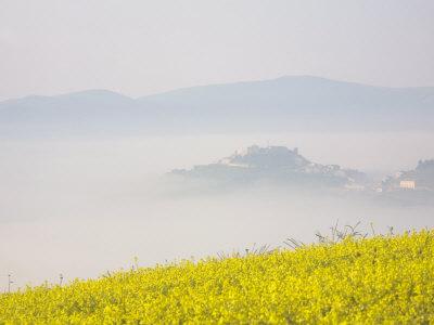 Lentil Fields and Castelluccio Di Norcia, Highland of Castelluccio Di Norcia, Norcia, Umbria, Italy