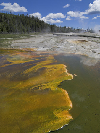 Geyser Hill, Upper Geyser Basin, Yellowstone National Park, Wyoming, USA