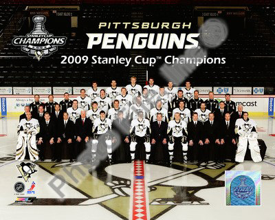 Buy Pittsburgh Penguins 2008-2009 at AllPosters.com