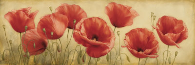 Poppies Grace I