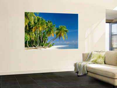 Palm Trees and Tropical Beach, Maldive Islands, Indian Ocean