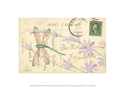 Postcard Dragonfly III