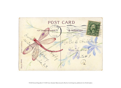 Postcard Dragonfly IV