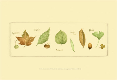 Leaves and Seeds II