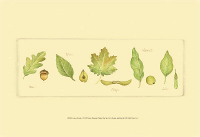 Leaves and Seeds I